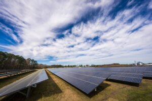 Bifacial vs Monofacial Solar Panel Cost Comparison